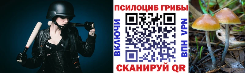 купить   Шадринск  Галлюциногенные грибы MAGIC MUSHROOMS 