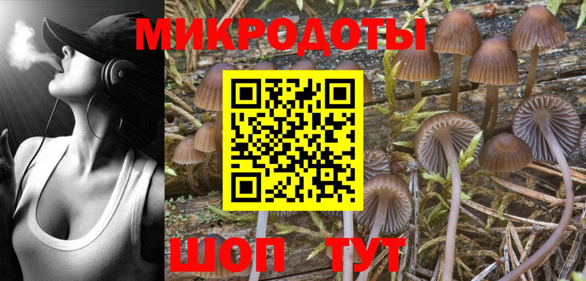 как найти наркотики  Шадринск  Псилоцибиновые грибы Psilocybe 
