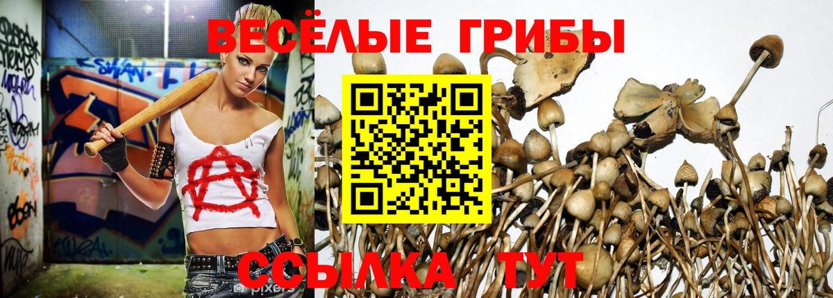 Галлюциногенные грибы MAGIC MUSHROOMS Шадринск