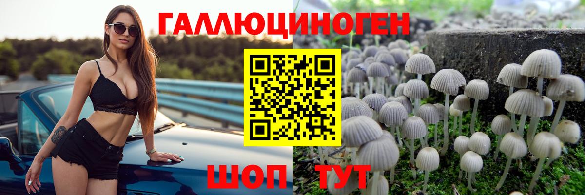 Псилоцибиновые грибы Magic Shrooms Шадринск
