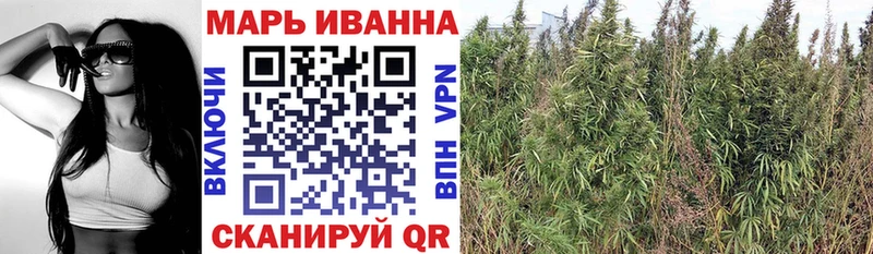 Шишки марихуана гибрид  наркота  Шадринск 
